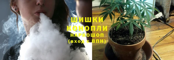 Альфа ПВП Дмитровск