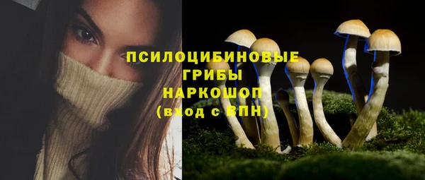 Альфа ПВП Дмитровск