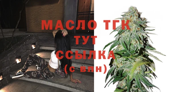 мдпв Дмитров