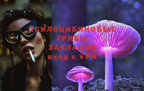 Альфа ПВП Дмитровск