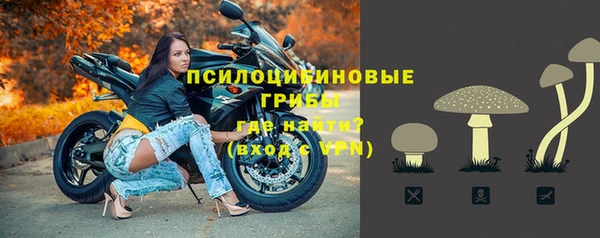 Альфа ПВП Дмитровск