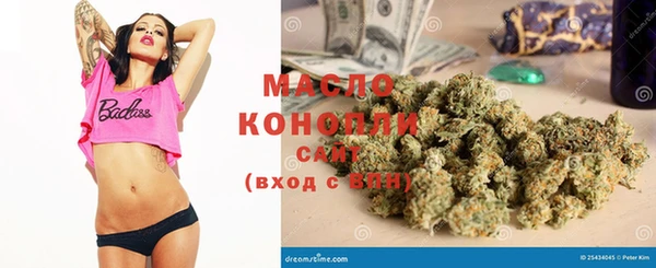 мдпв Дмитров