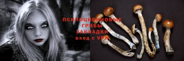 Альфа ПВП Дмитровск