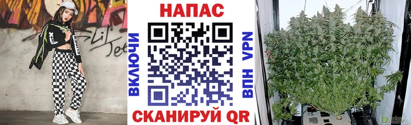 Шишки марихуана конопля Сосногорск
